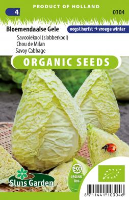 Savooiekool Bloemendaalse Gele BIO (Brassica) 65 zaden